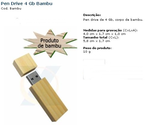 Pen Drive (bambu)
